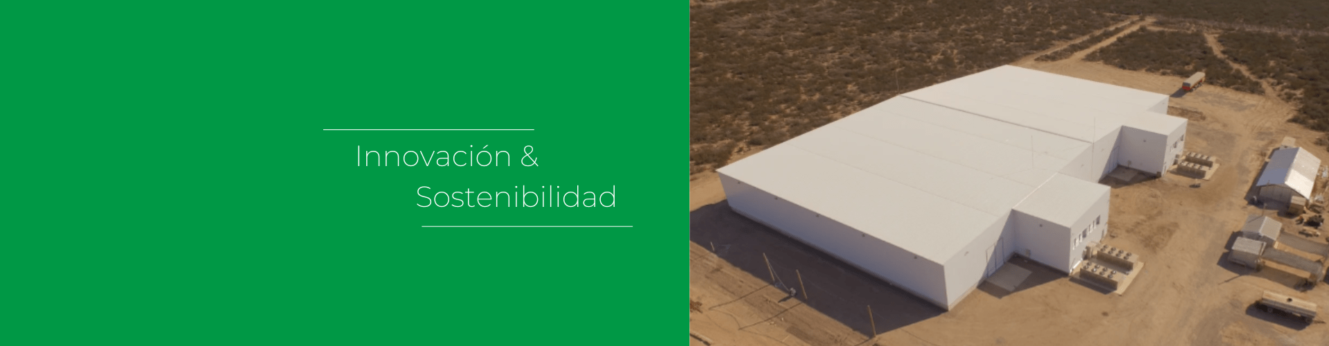Innovación & sostenibilidad